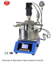 reactor-alta-presion-